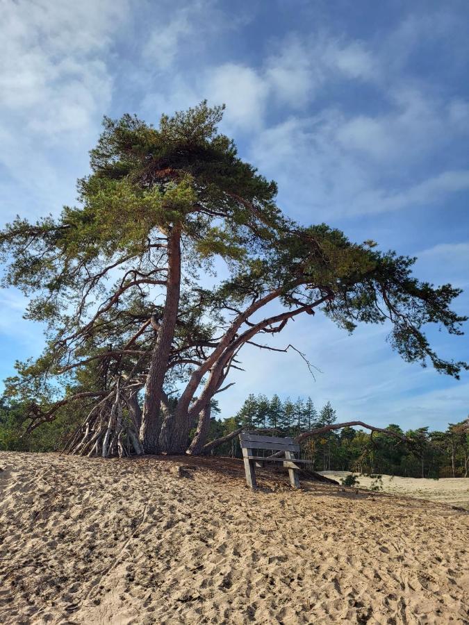 Vechtdal Beerze Buren Bagian luar foto
